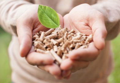 Fontagro y el IICA lanzan concurso de experiencias en Bioeconomía