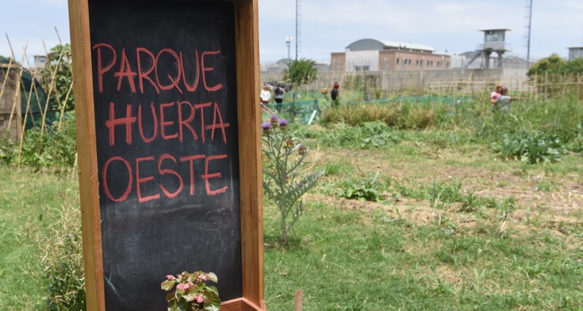La agricultura urbana como una política exitosa de Estado
