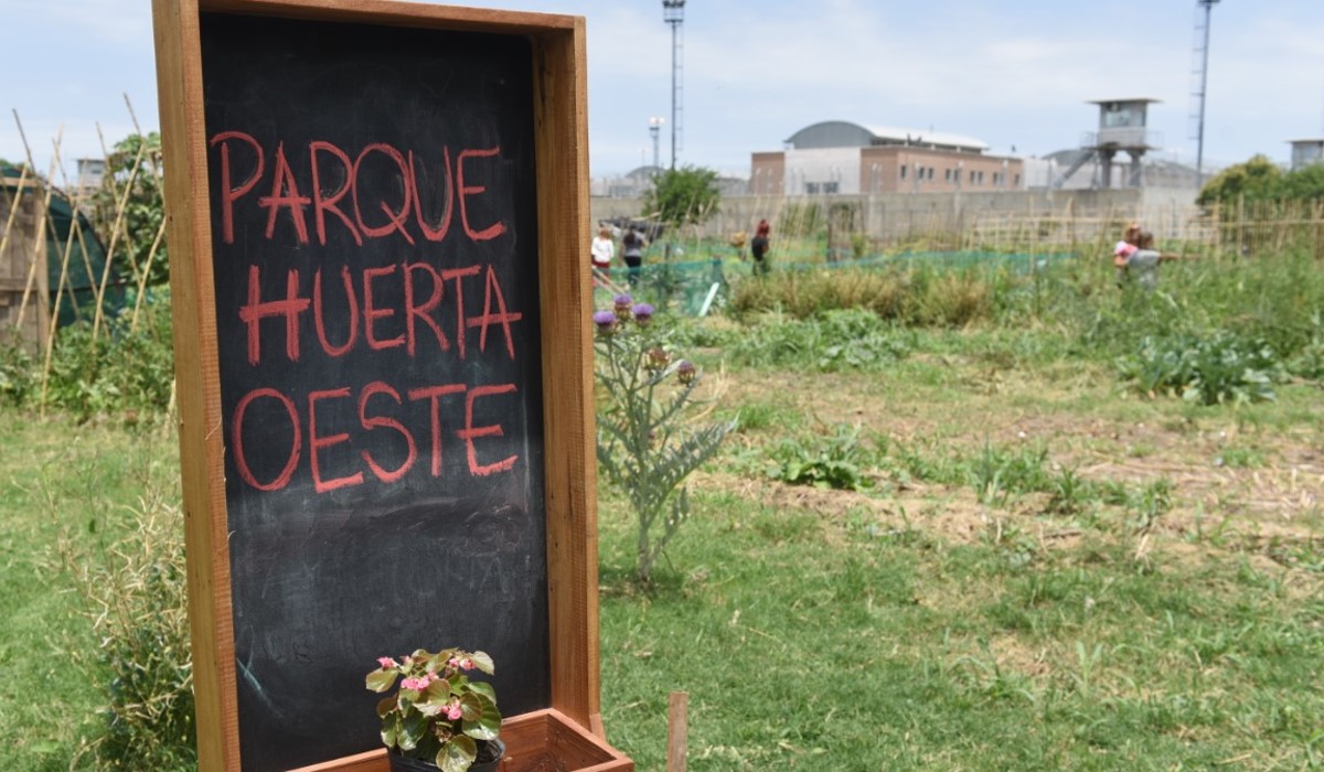 La agricultura urbana como una política exitosa de Estado