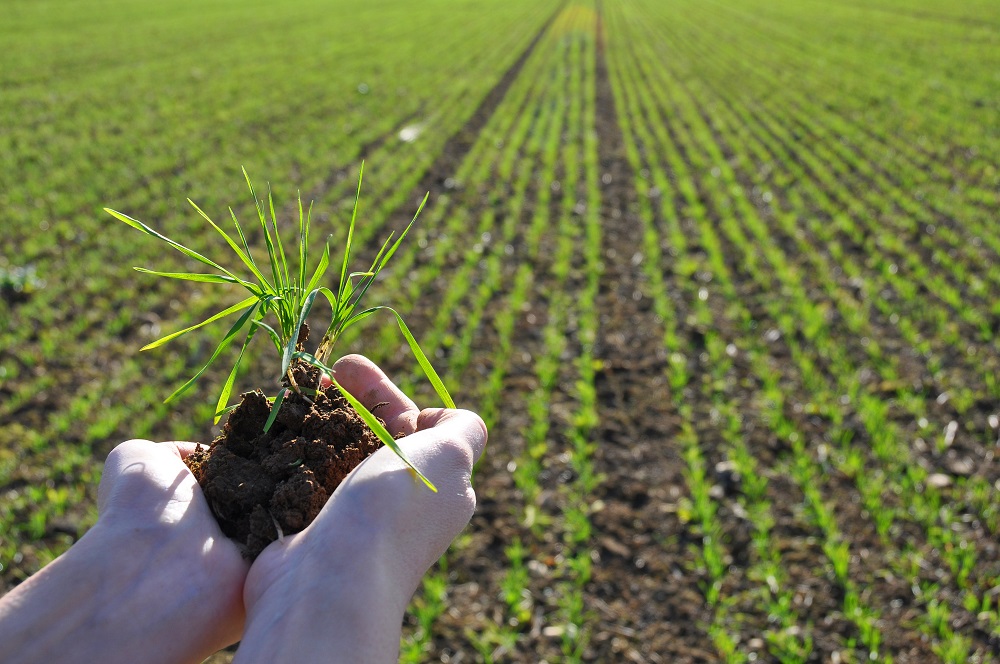 «Seguimos importando fertilizantes mientras tiramos nutrientes todos los días”, alertan del sector del agro